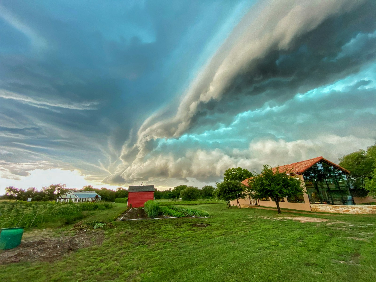 green grass field under blue sky